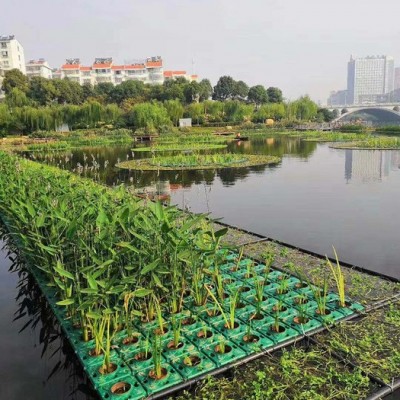 如克环保厂家供应RSUN生态生物浮床，太阳能生态系统